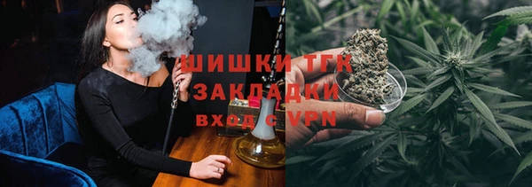 индика Вязники