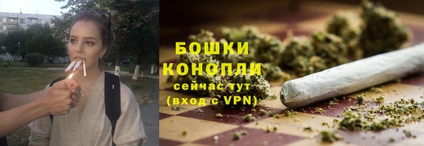 гидра Вязьма