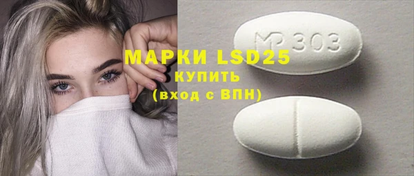 индика Вязники