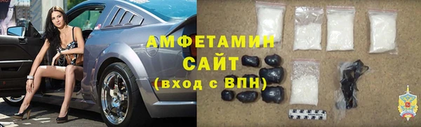 индика Вязники
