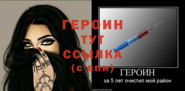 гидра Вязьма