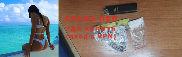 индика Вязники