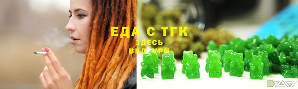 гидра Вязьма