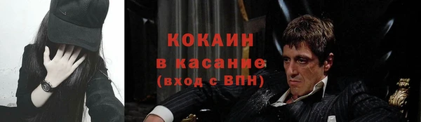 индика Вязники