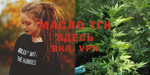 индика Вязники