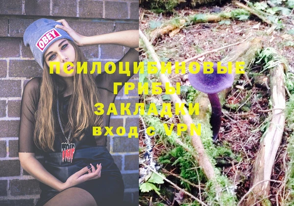гидра Вязьма
