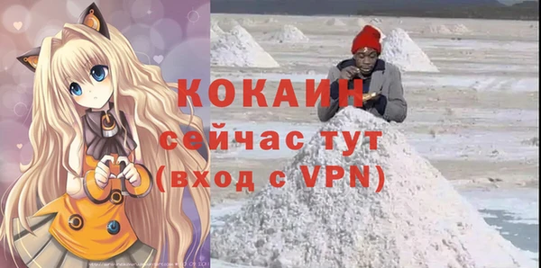 гидра Вязьма