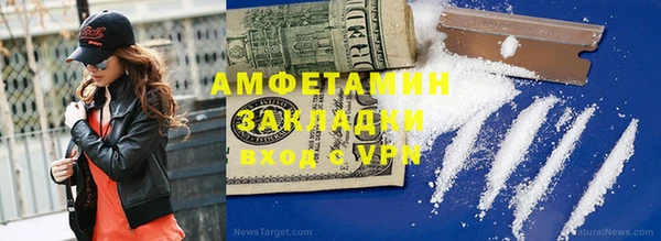 гидра Вязьма