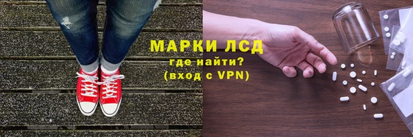 индика Вязники