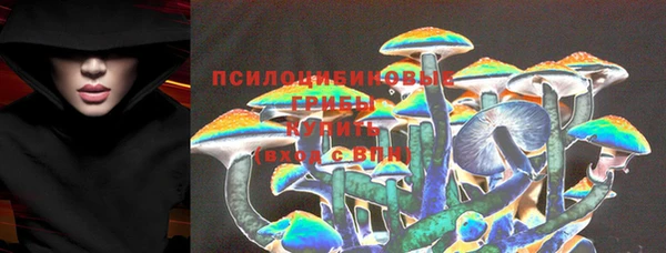 гидра Вязьма