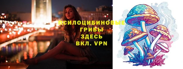гидра Вязьма
