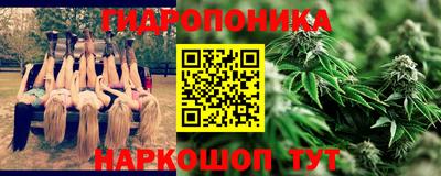 spice Заволжье