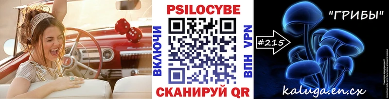 Псилоцибиновые грибы Psilocybe  Дивногорск 