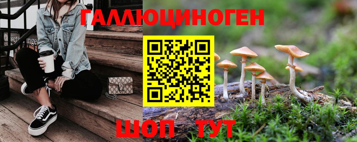 Дивногорск  Галлюциногенные грибы Magic Shrooms  закладка  Вход с VPN 