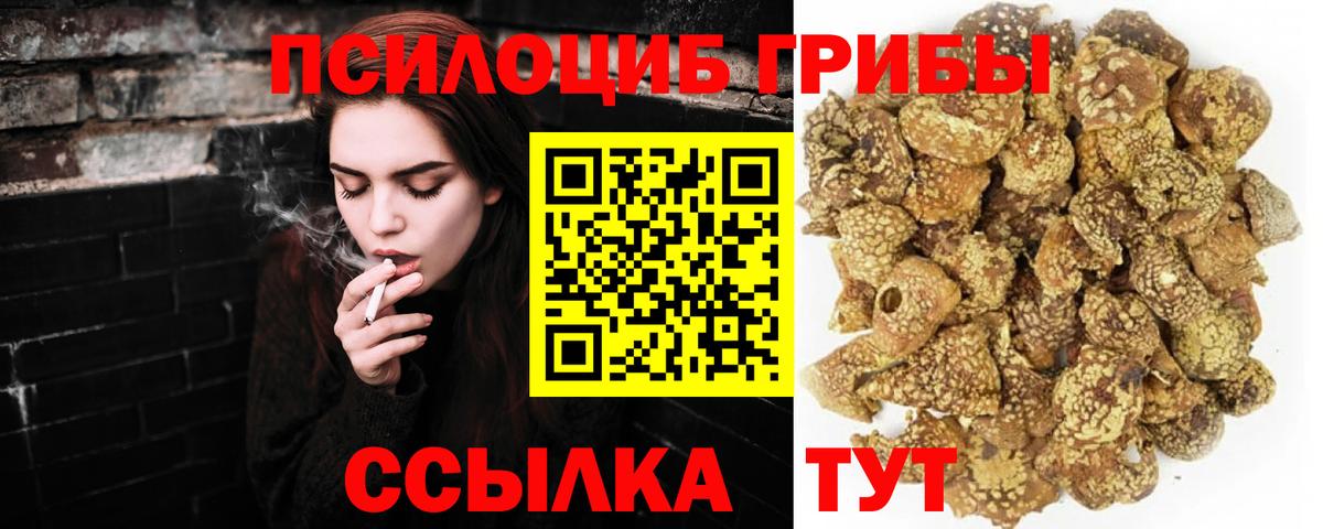 Галлюциногенные грибы MAGIC MUSHROOMS Дивногорск