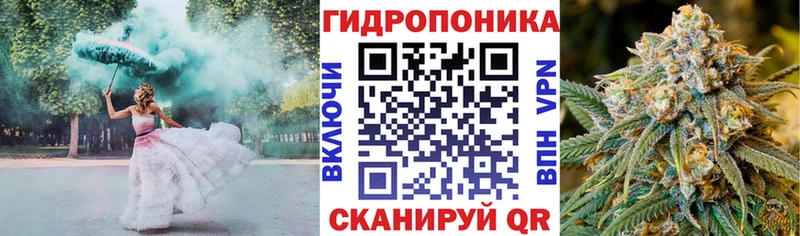 Шишки марихуана сатива  гидра вход  darknet состав  Дивногорск 